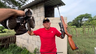 Casería de palomas con rifle de aire [upl. by Wyly106]