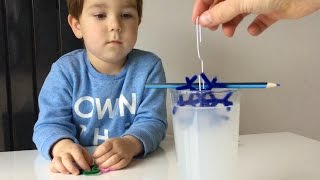 Borax Crystal Snowflake Experiment [upl. by Atiras]