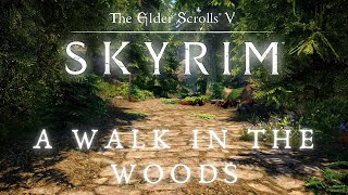 Skyrim SE 4K Music amp Ambience  Walking Across Skyrim  Whiterun To Falkreath  Ambient Music [upl. by Enawyd180]