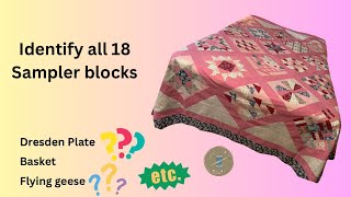 Indentify all 18 Sampler Blocks [upl. by Lyred]