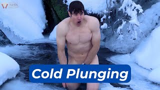 The Science of Cold Plunging How It Changes the Body [upl. by Bobbye]