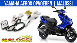 OPVOEREN  YAMAHA AEROX EURO 4 2020  MALOSSI [upl. by Berlyn934]