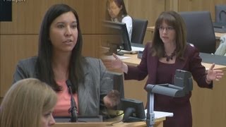 Testy Exchange Between Janeen DeMarte amp Jennifer Willmott on Whether Jodi Arias Was Abused [upl. by Ahsieka]