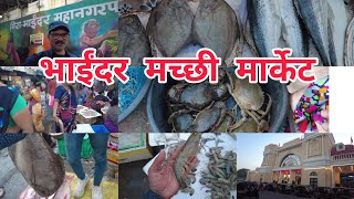 Bhayander fish Market Cheapest and Wholesale Market [upl. by Orozco]