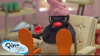 Pingu Loves Life  Pingu  Official Channel  Cartoons For Kids [upl. by Free]