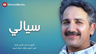 Haroon Bacha  Syali New Pashto Song 2021 [upl. by Wynn302]