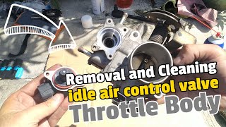 How to Remove Idle Air Control Valve Throttle Body and Clean it  NISSAN iacv cleaning [upl. by Henrietta9]