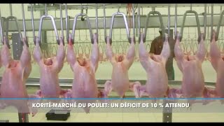 Visite des abattoirs de la SEDIMA pour s’enquérir de l’état de la production en vue de la korité [upl. by Yrolg440]