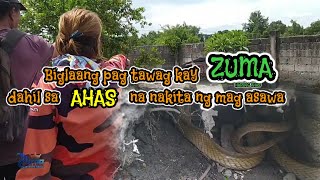 Biglaang pag tawag kay ZUMA dahil sa AHAS na nakita ng mag asawa  dina nakapag bota  ZHA [upl. by Ahsoj365]