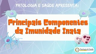 Sistema Imune  Principais Componentes da Imunidade Inata [upl. by Doralynn]