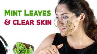 5 minutes beauty tips  How to Use Mint Leaves in Beauty Care [upl. by Gwyn]