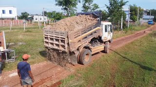 Start New Project Landfill Dump Truck D20P dozer work Together Push Soil Clear Size 10 × 30 metre [upl. by Melli]