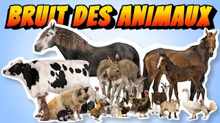 APPRENDRE le  bruit des ANIMAUX  de la ferme Pour BÉBÉ [upl. by Oiraved]