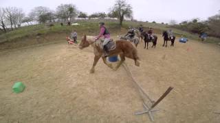 Cours de saut dobstacle  premier enchaînement pour certains chevaux Gopro [upl. by Anes]