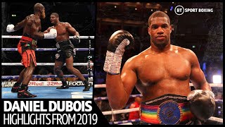 5 fights 5 knockouts Daniel Dubois 2019 highlights [upl. by Nhor]