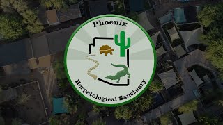 Virtual tour of the Phoenix Herpetological Sanctuary [upl. by Dej]