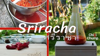 Sriracha hot sauce recipe Quick easy and delicious [upl. by Aizat170]