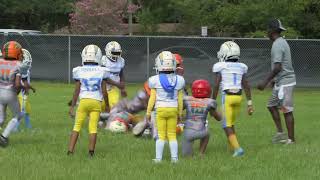 LSA Chargers 8U MudBrotherz vs Pine Forest Rattlers 8U 330 MudBrotherz Out of Duval County [upl. by Anoirb]