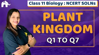 Plant Kingdom Class 11 Biology  Chapter 3 Ncert Solutions Questions 17 [upl. by Kendell]