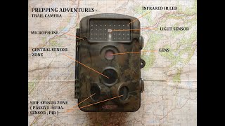 TRAIL CAM SET UP AND FOOTAGE [upl. by Aisitel]