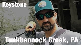 Fly Fishing Keystone Select South Branch Tunkhannock Creek PA  Wooly Bugged [upl. by Aikahc]