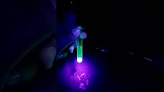 La fluoresencia es químicamente hermosa musicciencia MICROBIOLOGiC [upl. by Bethezel]