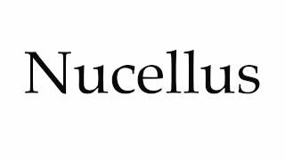 How to Pronounce Nucellus [upl. by Fiora]