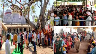 Panchkula Devotees pay obeisance at Mata Mansa Devi temple on the first day of Navratri festival [upl. by Henigman]