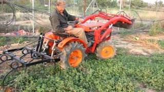 Kubota B6000D trabajando con cultivadores [upl. by Nadab]