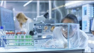 Why mice are the best candidates for research [upl. by Aned]