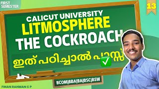 Calicut university  1st sem  Litmosphere  THE COCKROACH  Malayalam summary [upl. by Nordine]