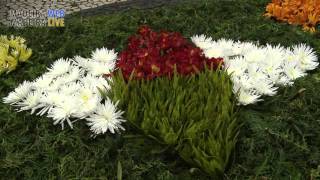 Madeira Flower Festivities April 2016 [upl. by Dnaltruoc308]