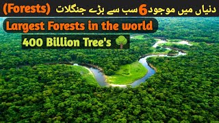 6 Most Largest Forests in the World  Saqlain Tv  UrduHindi [upl. by Cyril]