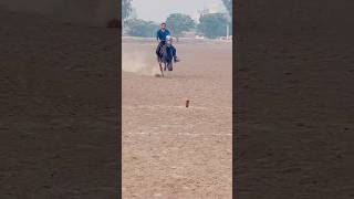 Horse Riding  neza bazi  Pakistan Tent pegging  shorts [upl. by Allicserp]