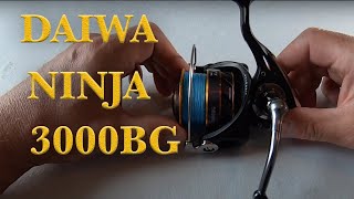 DAIWA NINJA BLACK GOLD  NJ3000BG FISHING REEL REVIEW [upl. by Nniuqal712]