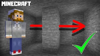 Minecraft  How to Get Xray Vision Without Mods 1164  NO CHEATS [upl. by Averell]