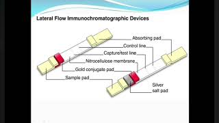 Guide to Immunochromatographic Assay [upl. by Salomo]