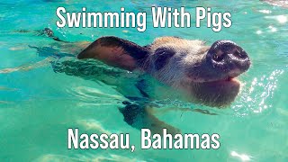 Swimming with Bahama Pigs  Nassau Excursion from Carnival [upl. by Xeno]