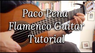 Paco Pena Flamenco Guitar Tutorial [upl. by Nagaem]