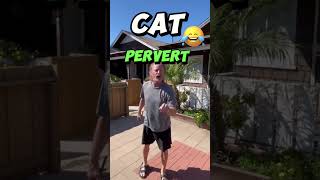 Cat Pervert Harboring Cat 😂 😹 shorts funny cat [upl. by Germano5]