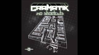 Gramatik  Defying Gravity [upl. by Nnylear]