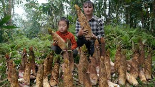 45 Days of single mother harvesting bamboo shoots to sell to build a farm with her daughter [upl. by Lek]