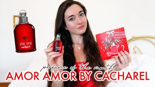 Amor Amor By Cacharel Fragrance Review  Perfume of the Month [upl. by Eppesiug394]