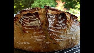 Beginner Artisan Sourdough Bread Recipe [upl. by Llenrrad]