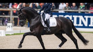 Human  Show Jumping VS Dressage Music Video [upl. by Cavanaugh]