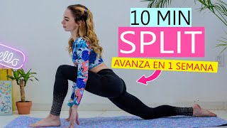 🔥Bulgarian Split Squat Quads VS Glutes [upl. by Amory]