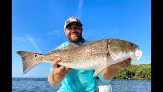 How to Catch Redfish Snook and Trout in Crystal River Ozello Homosassa [upl. by Neelahs825]