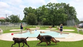 Meadowlake Pet Resort amp Training Center Daycare [upl. by Hock]