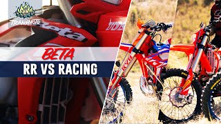 Tested Beta RR vs RR Racing Models [upl. by Bortz]