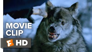 Daughter of the Wolf Movie Clip  Wolf Attack 2019  Movieclips Indie [upl. by Ymac]